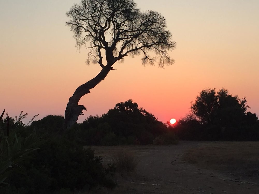 Hemerans Anatolia Otel - Image 61