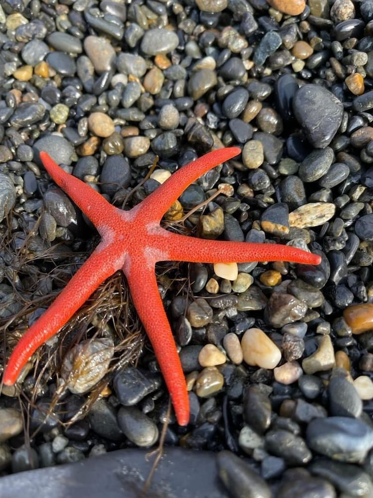 King Halibut Lodge - Property Image 21