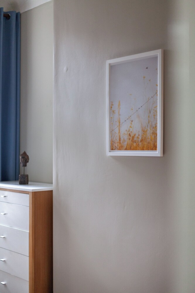 The Finsbury Park Collection