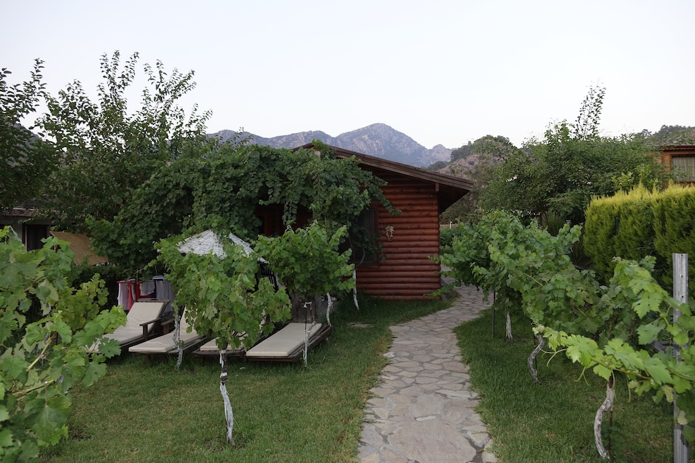 Photo 41
