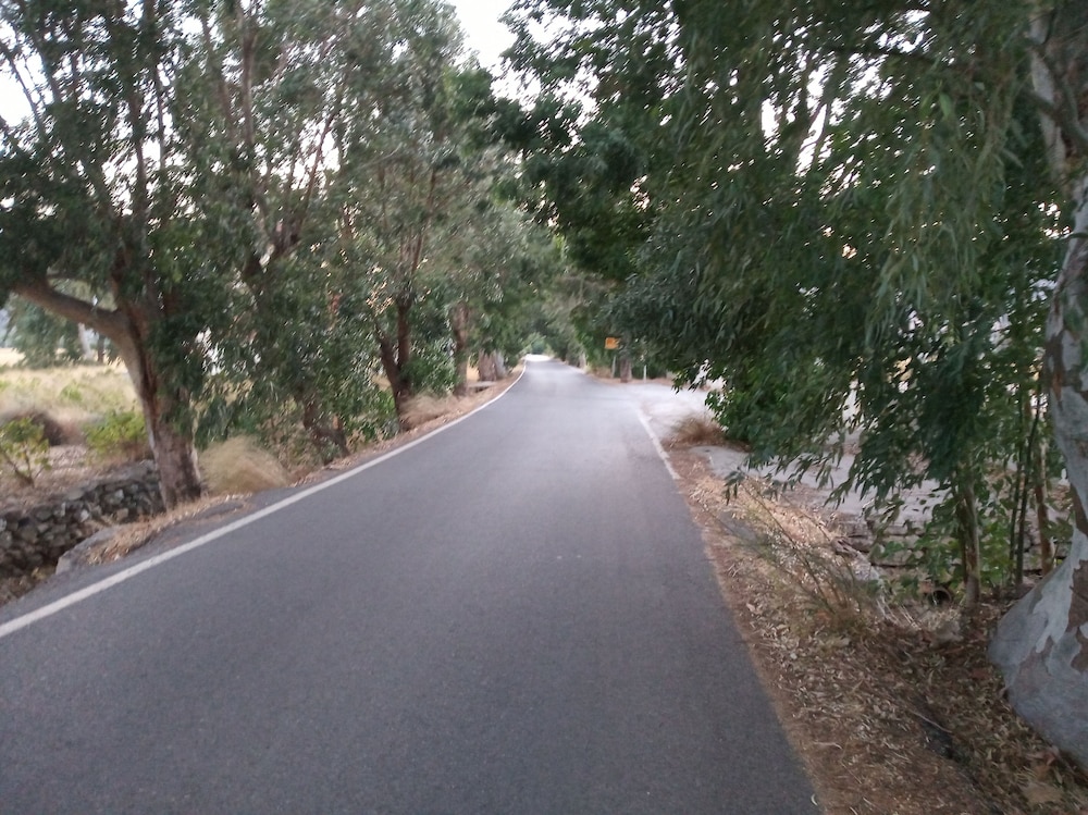 Photo 28