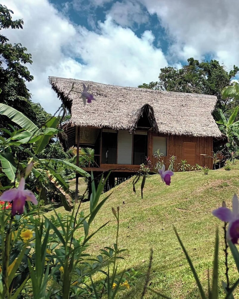 Flower of Life ayahuasca Healing Center