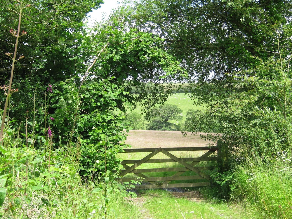 Hollamoor Farm B&B