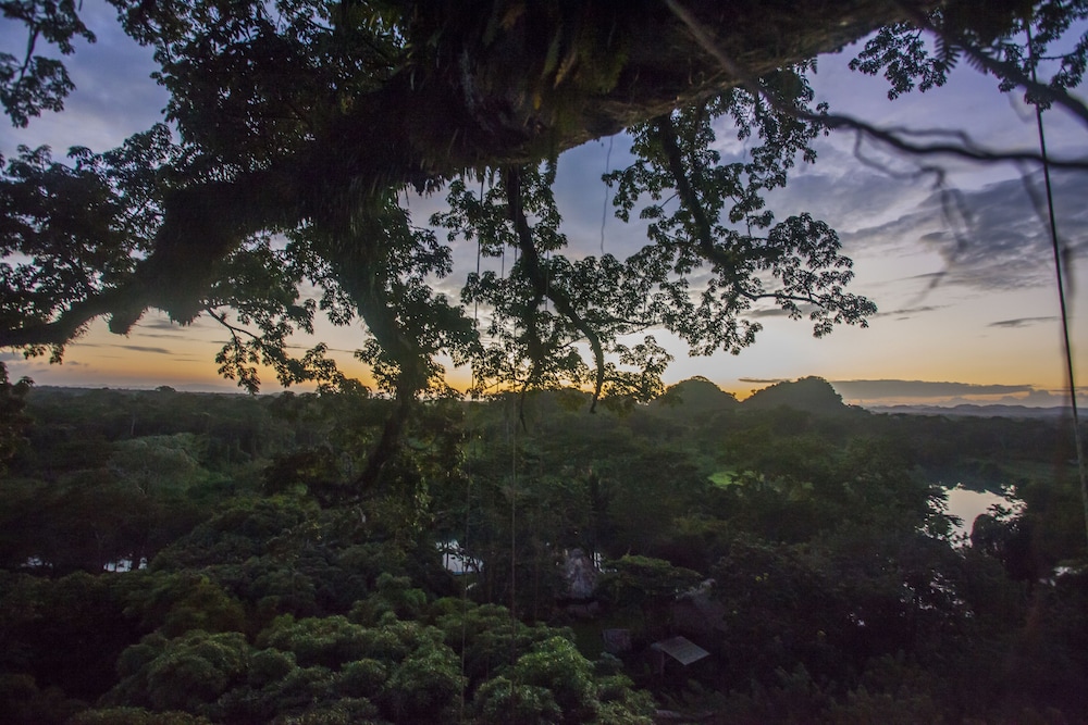 Cotton Tree Lodge