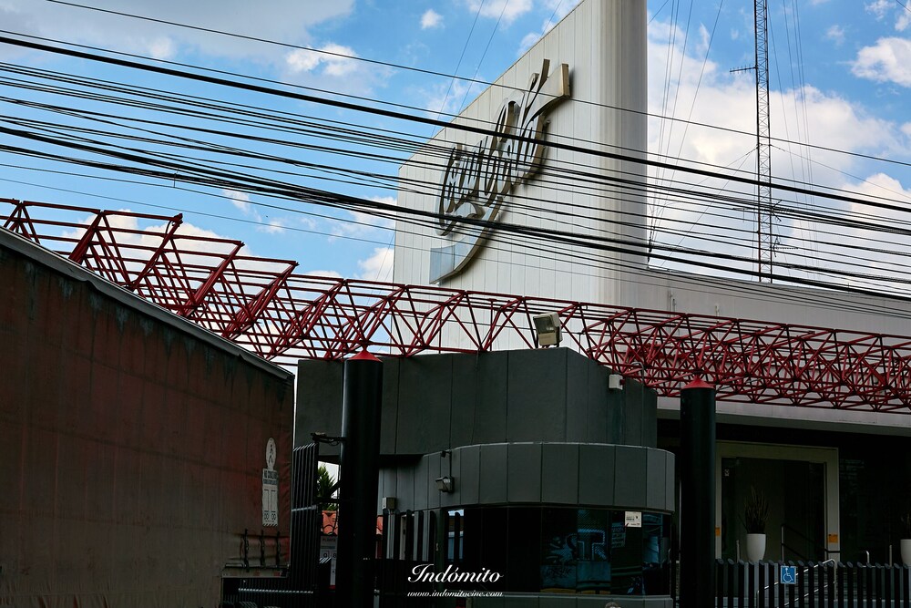 Photo 48