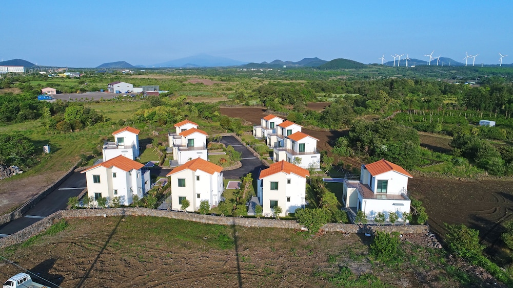 Dream in Jeju