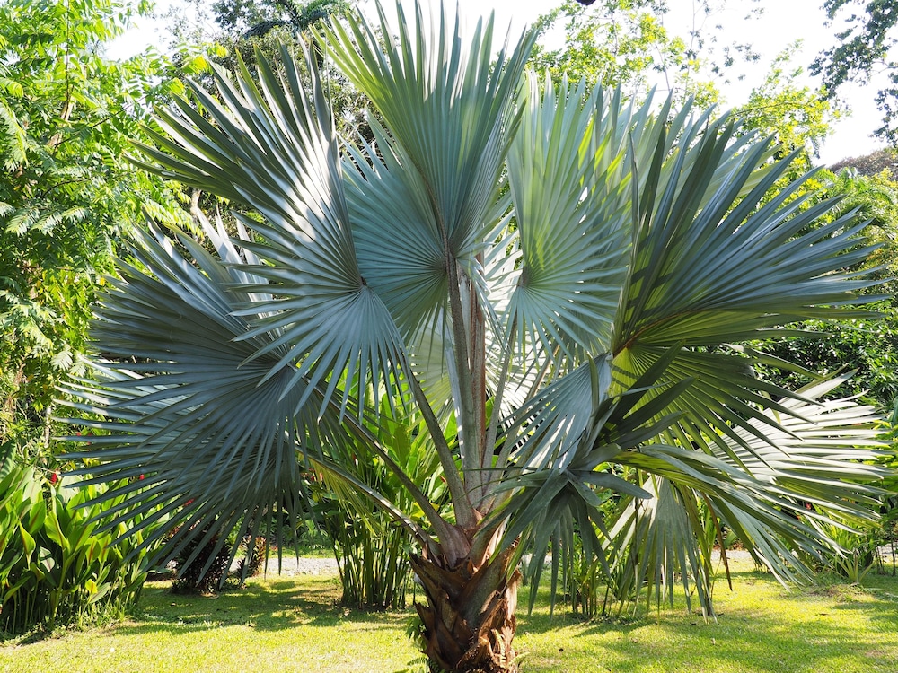 La Finca Chica