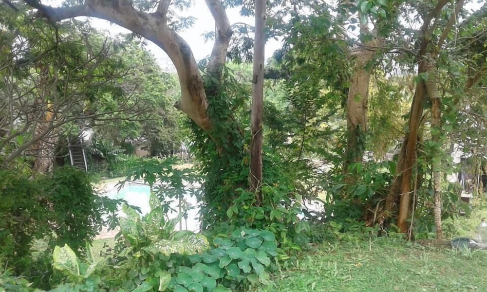 Durban Accommodation