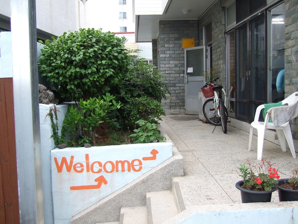 Springflower Guesthouse - Hostel