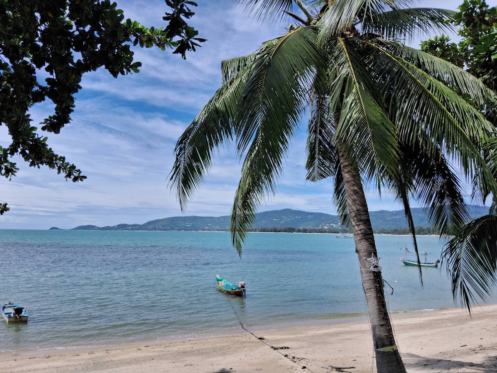 @ Samui Haus
