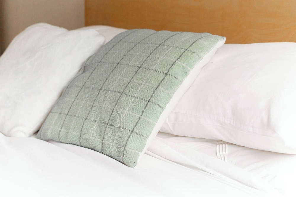 Edinburgh City Retreat - Edinburgh City Centre