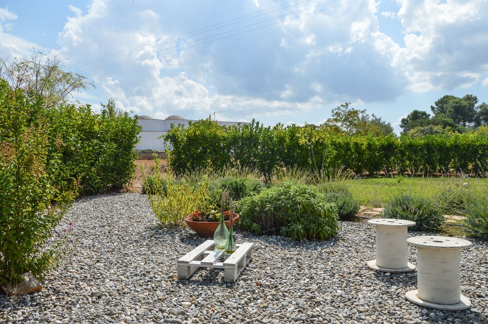 Photo 25