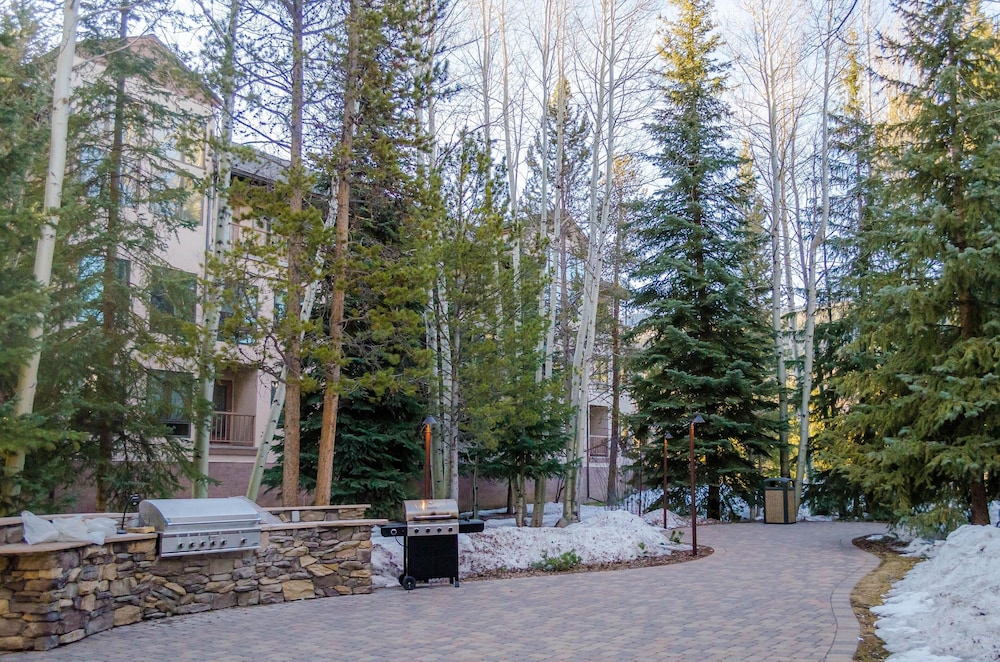 Chateaux Dumont #2701 by Summit County Mountain Retreats view 5