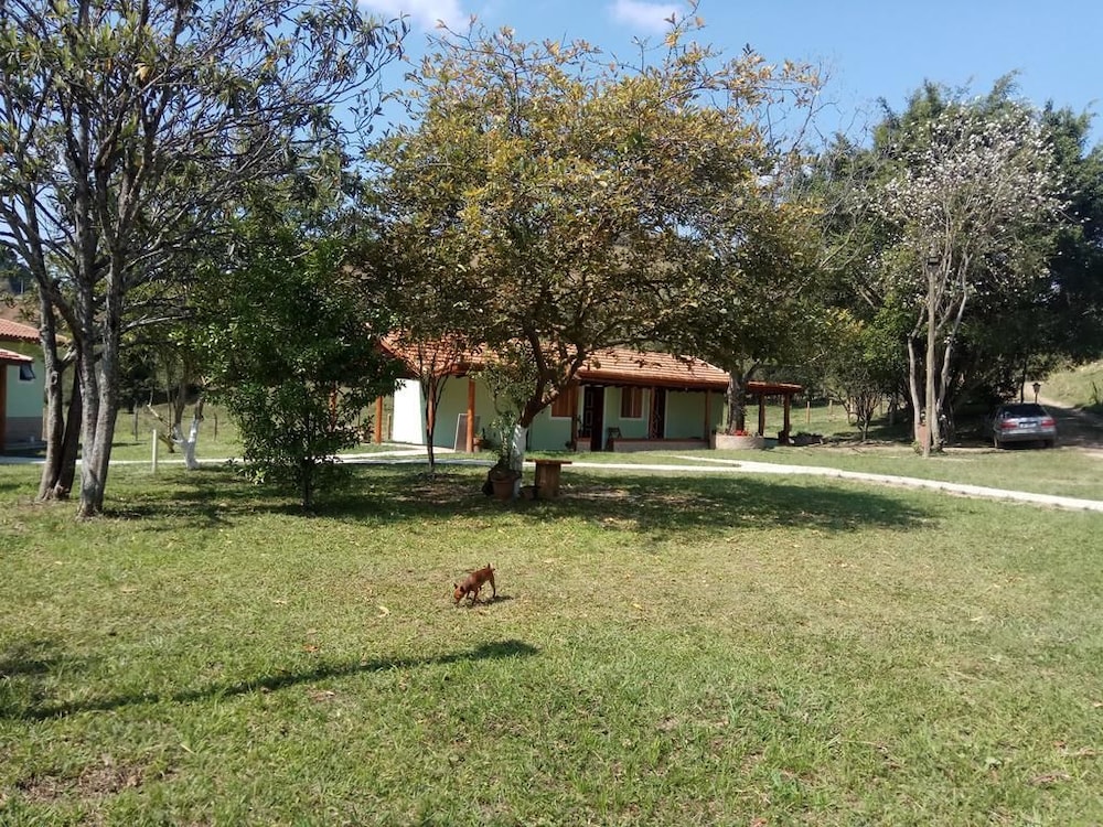 Photo 44
