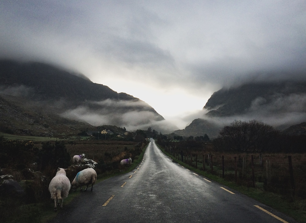 Inveraray Farm