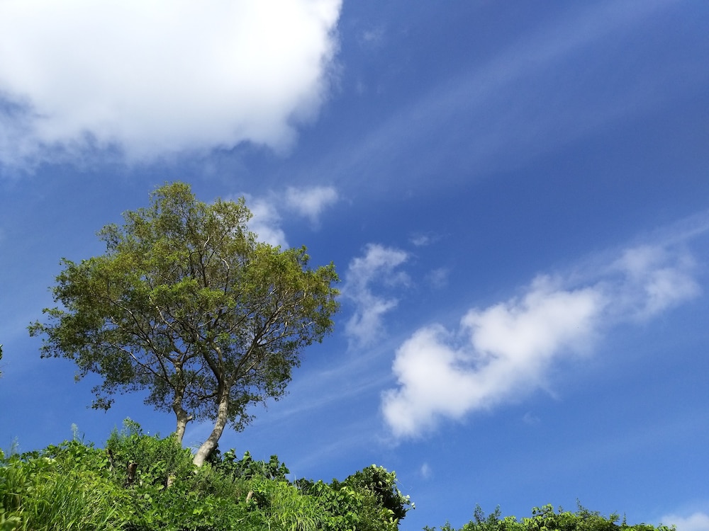 A day in Geoje Pension