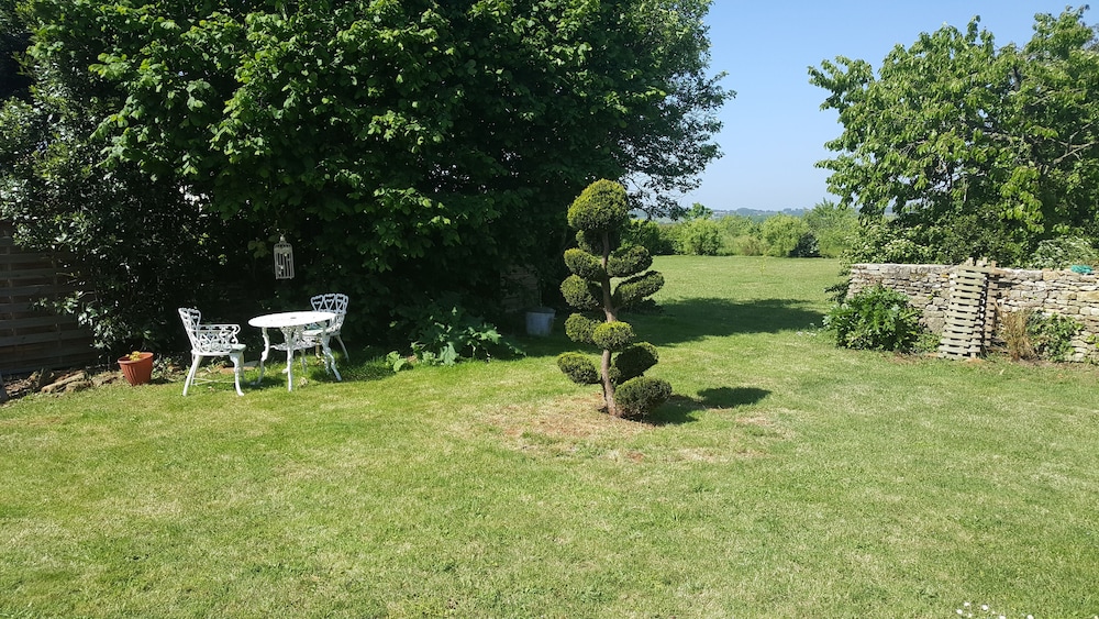 Photo 46