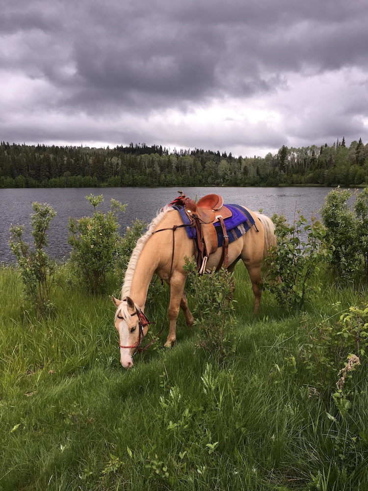 Montana Hill Guest Ranch