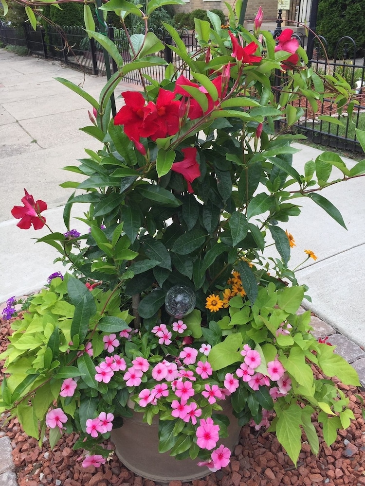 Weller Haus Bed, Breakfast & Event Center