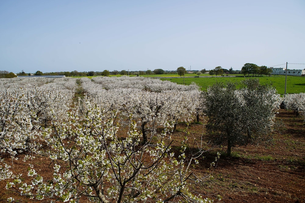 Masseria Guadiano Vecchio
