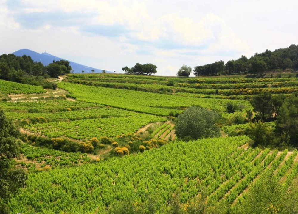 House in Vaison La Romaine With Heated Pool