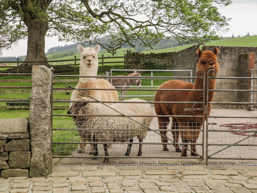 Bay Horse Farm