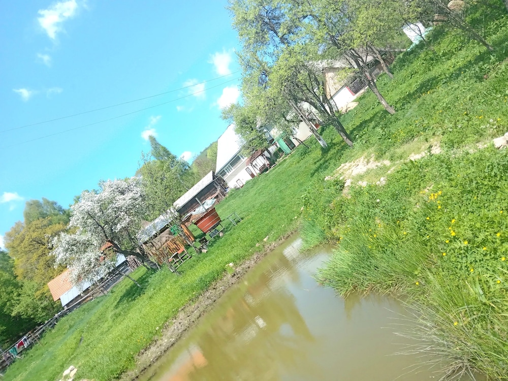 Photo 45