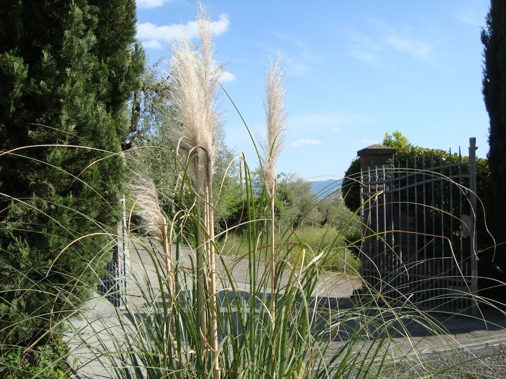 Photo 27