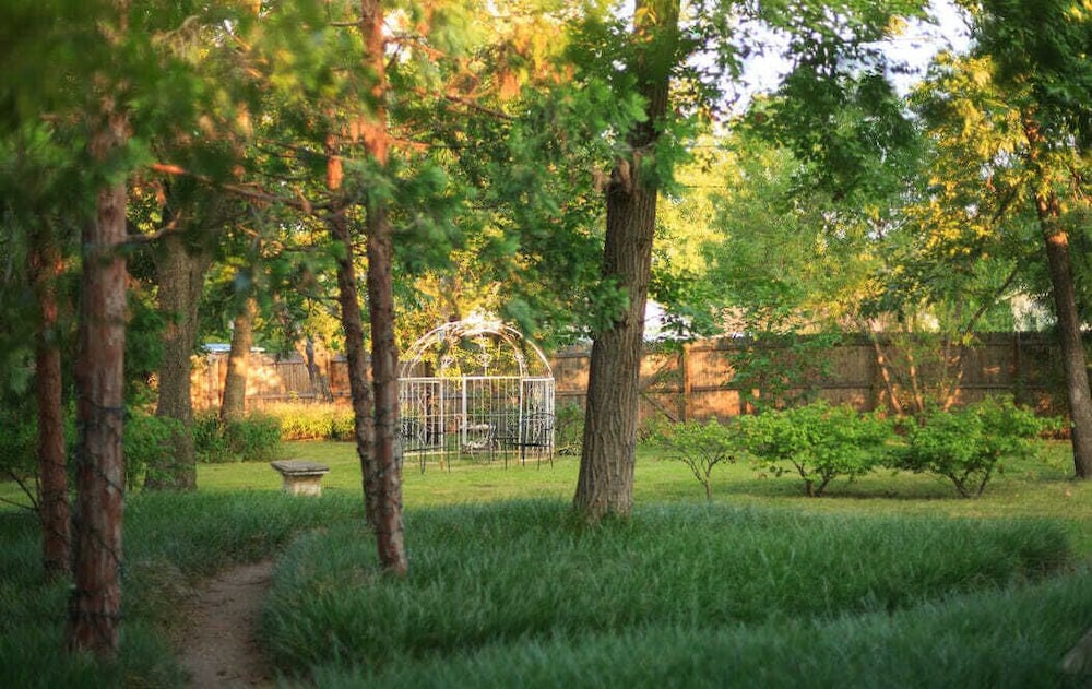 Photo 12