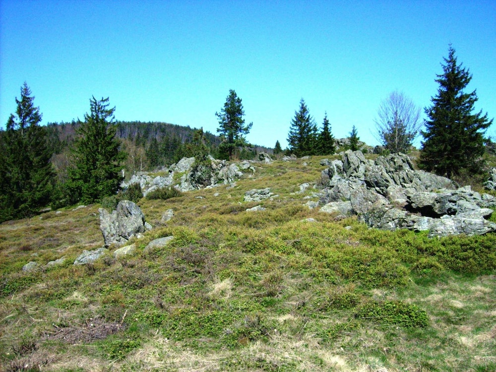 Photo 39