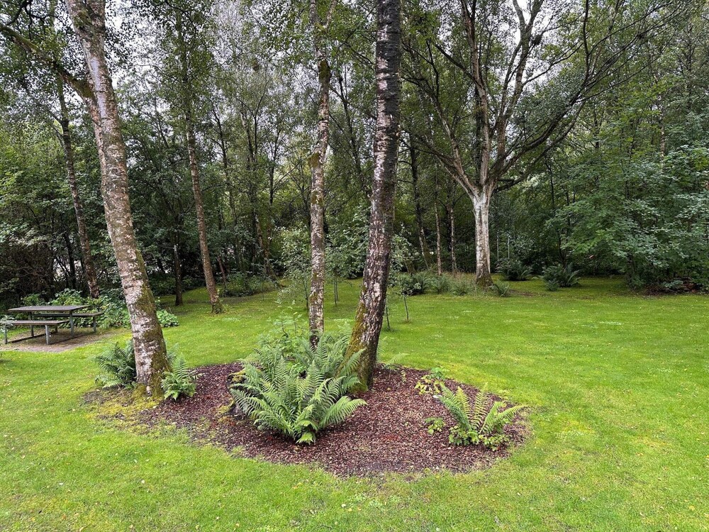4 Person Holiday Home in Aabybro view 5