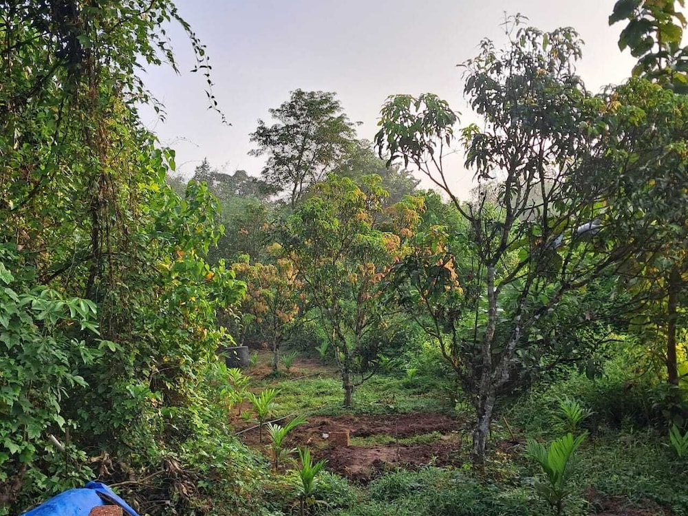 Studio Arambol Hideaway R4 by Mukund Sadan Arambol