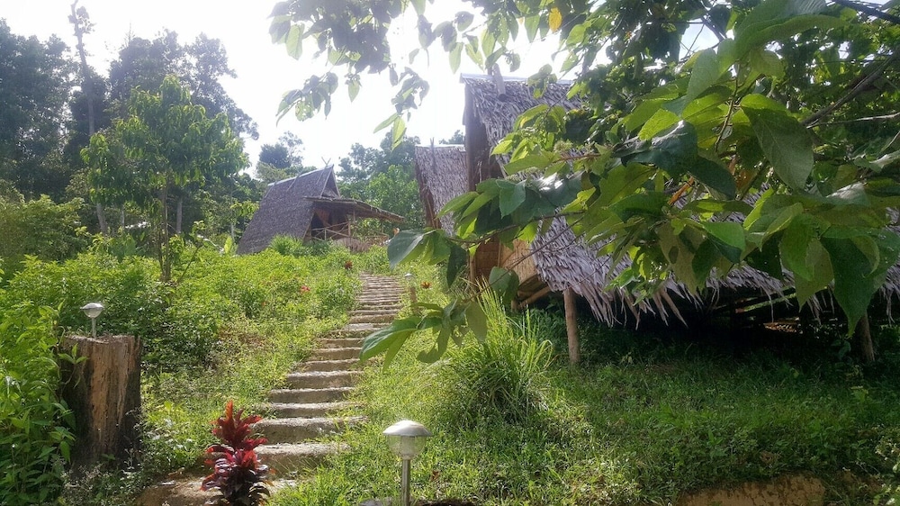 Photo 25