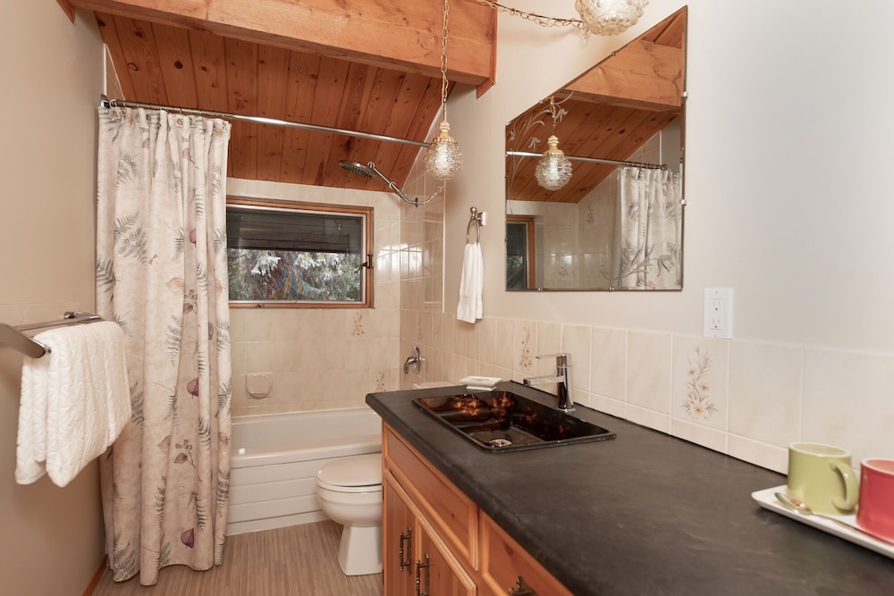 Mount Robson Mountain River Lodge