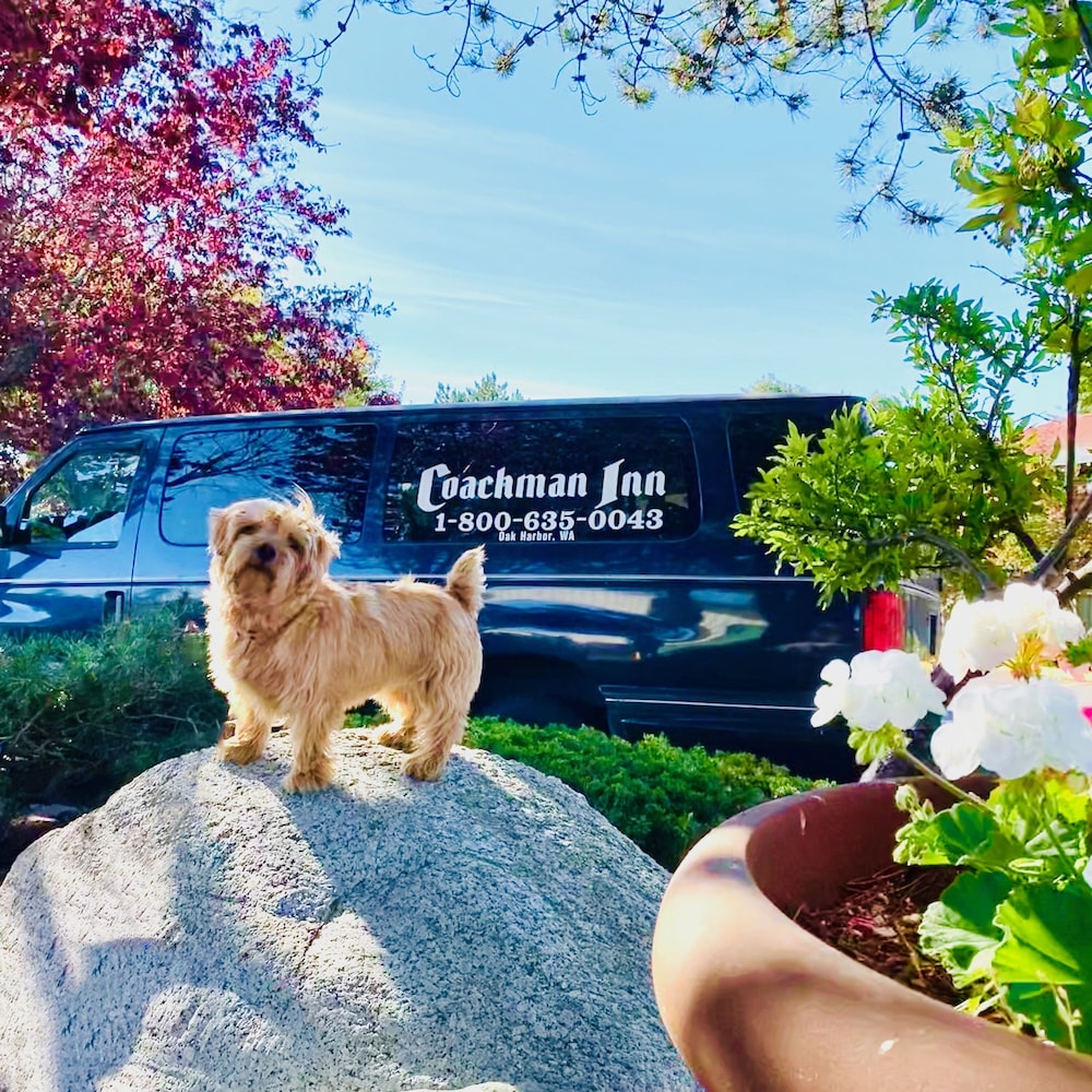 Coachman Inn & Suites