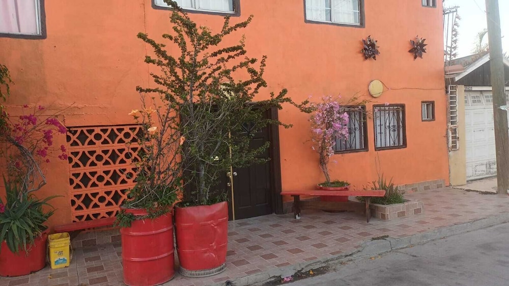 Photo 43