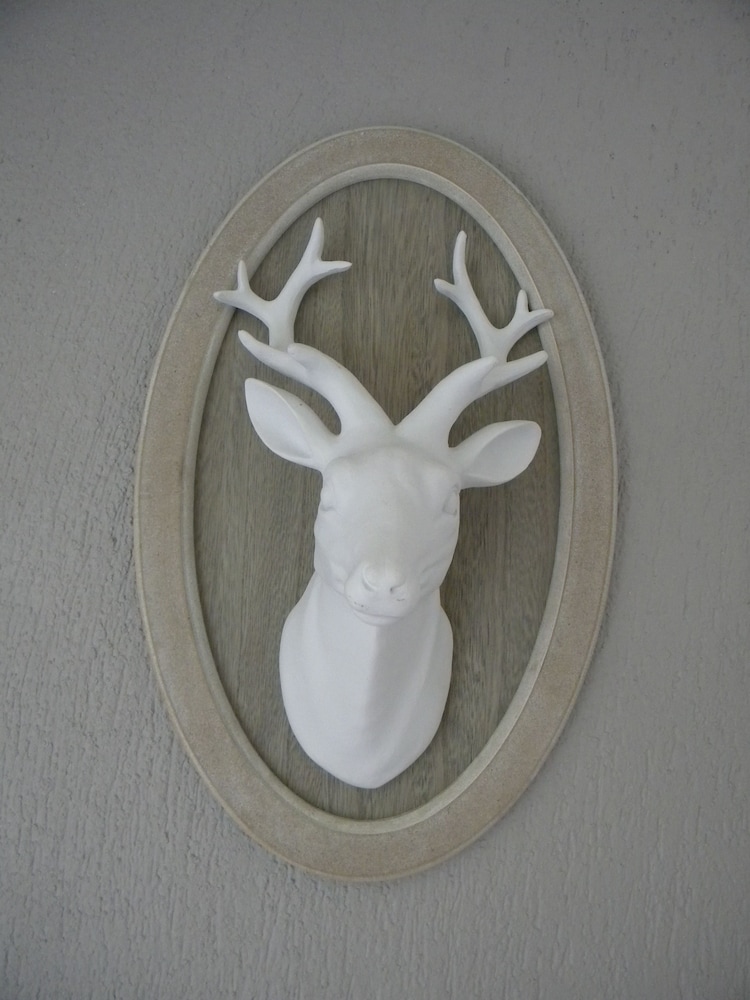 Photo 35