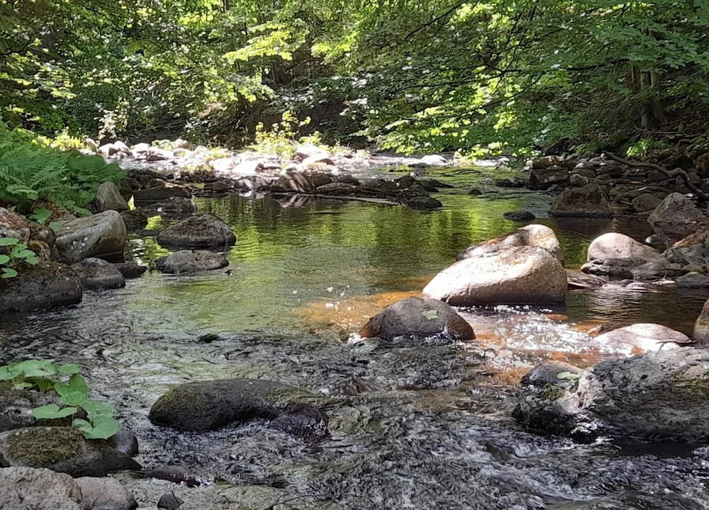 Ferienhauser im Schierke Harzresort, Schierke