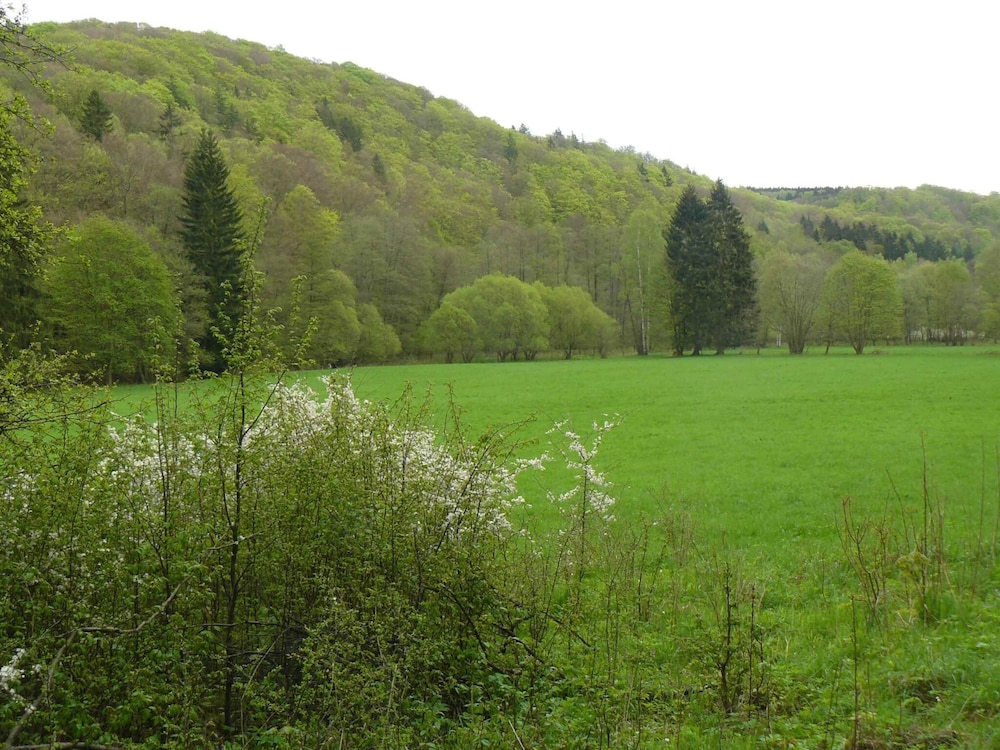 Hill-view Holiday Home in Dankerode Near Lake and Hiking