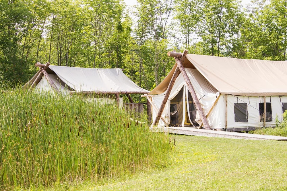 Firelight Camps