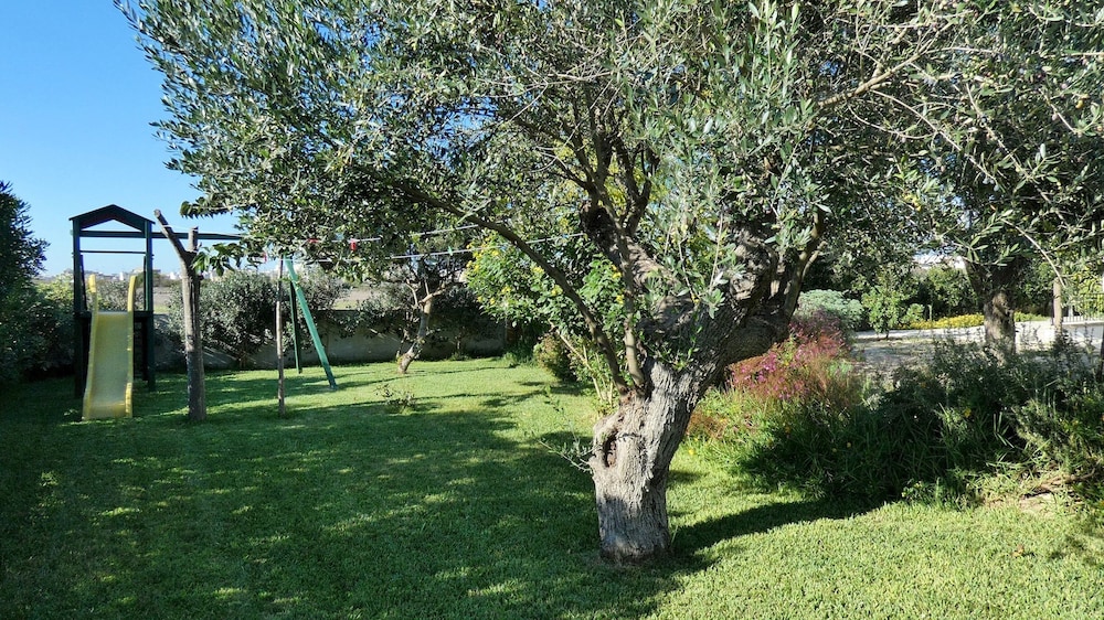 Photo 31