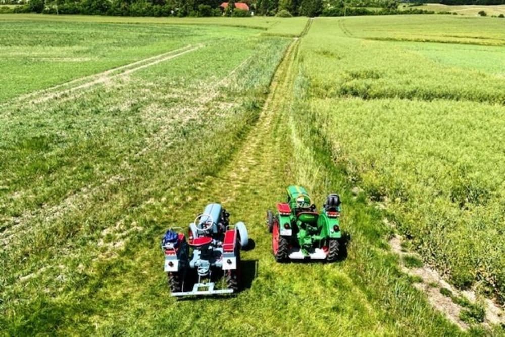 Ferienidyll in Gielow an der Seenplatte