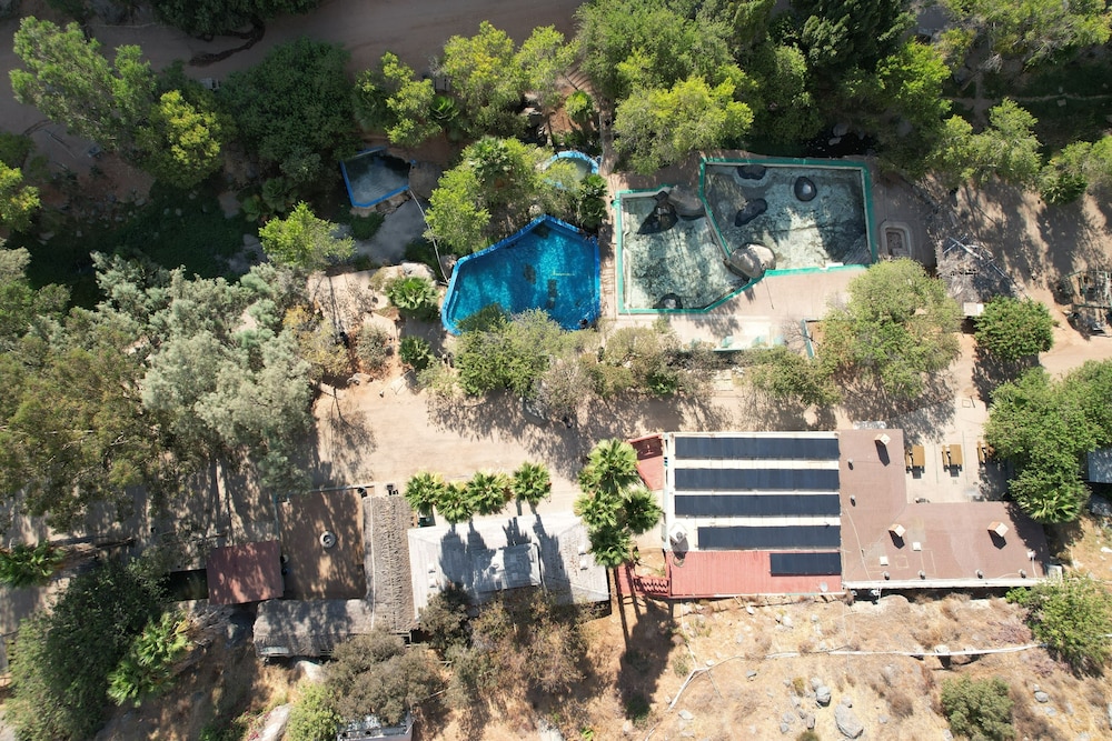 Ensenada Vacations - Rancho San Carlos Aguas Termales - Property Image 176