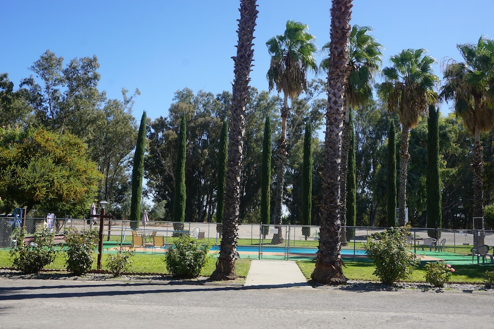 Willows Vacations - Blue Gum Motel - Property Image 37