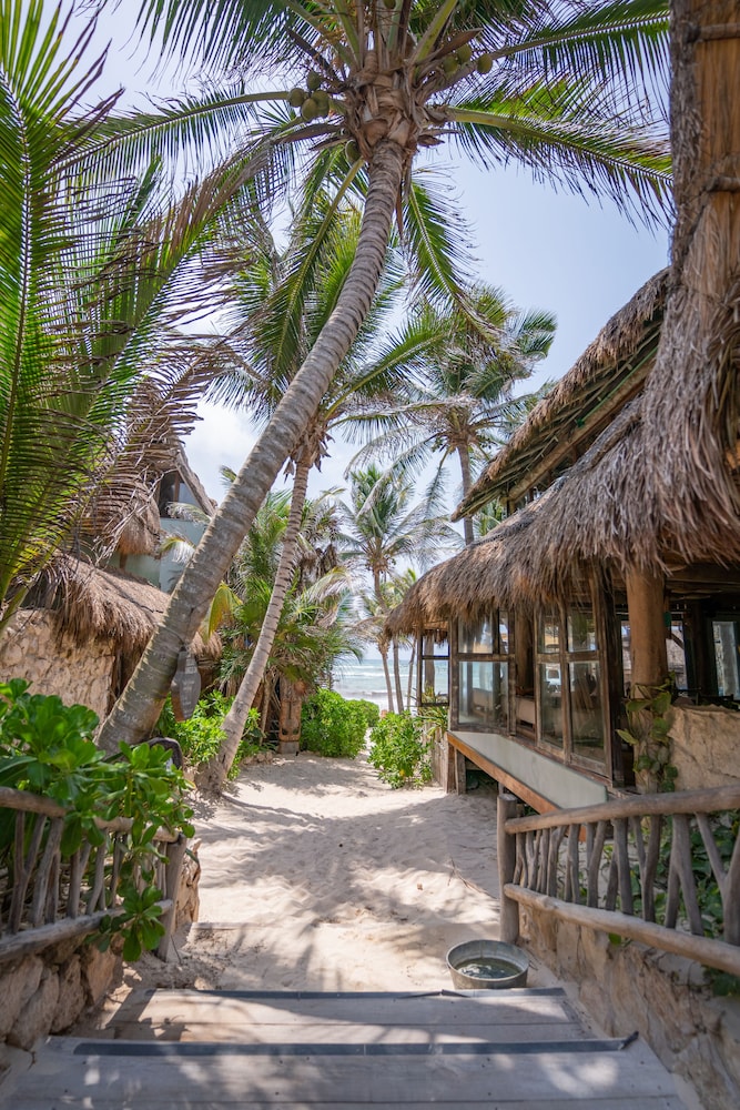 Ahau Beachfront Tulum Hotel 153