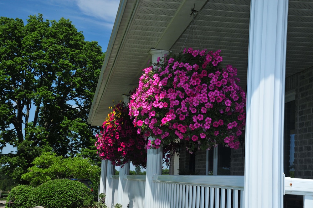 Golden Pathways Retreat and B&B