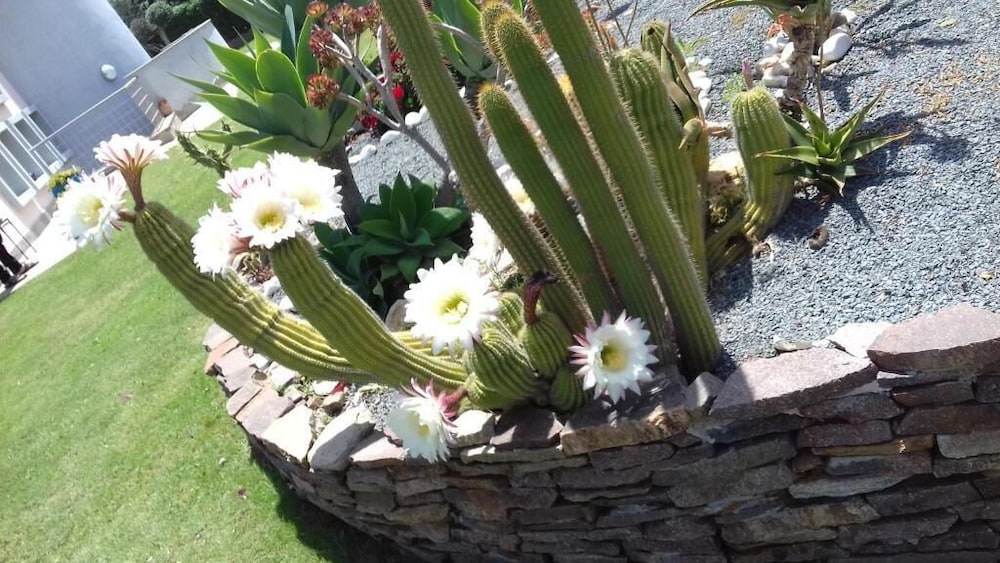 B&B Villa Rosanna