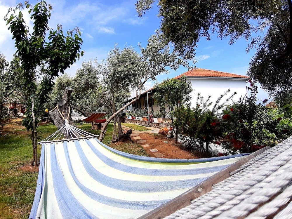 Katerina Fotopoulos Homes & Apartments view 3