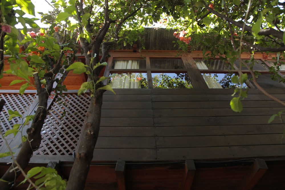 Yellow House - Hostel