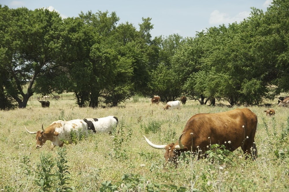 Beaumont Ranch